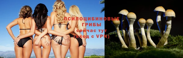 МДМА Костерёво