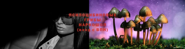 молекула духа Краснослободск