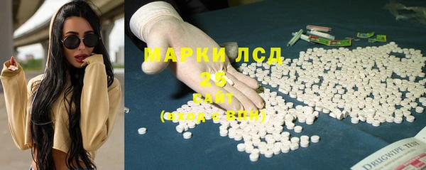 ГАЛЛЮЦИНОГЕННЫЕ ГРИБЫ Кулебаки