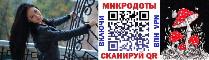 дарк нет Telegram  Тула  Псилоцибиновые грибы Magic Shrooms 