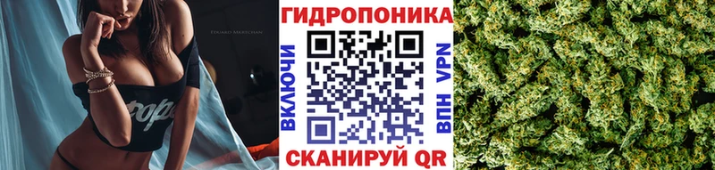Конопля OG Kush Тула