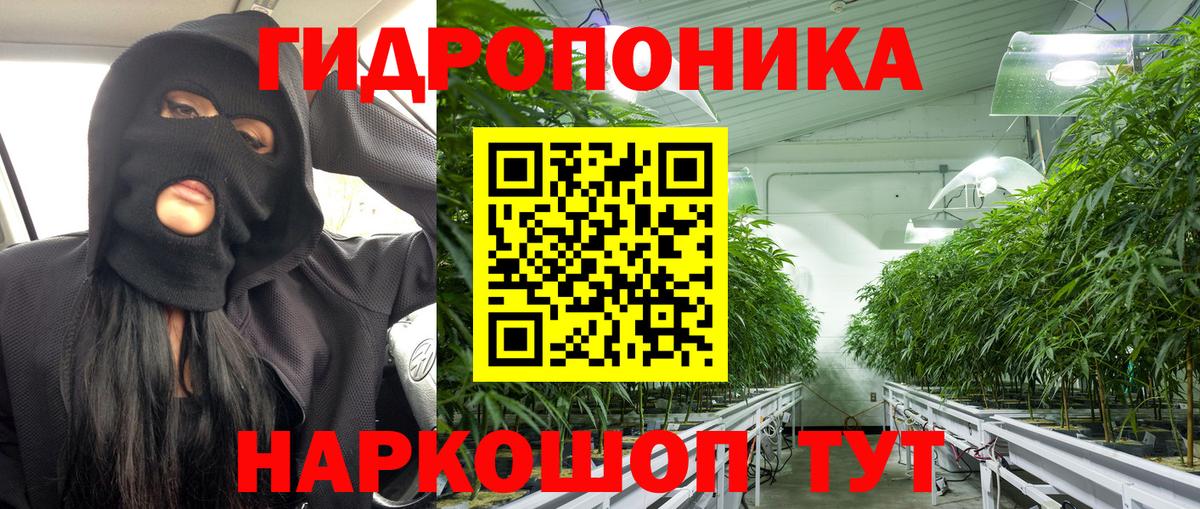 Бошки марихуана план Тула